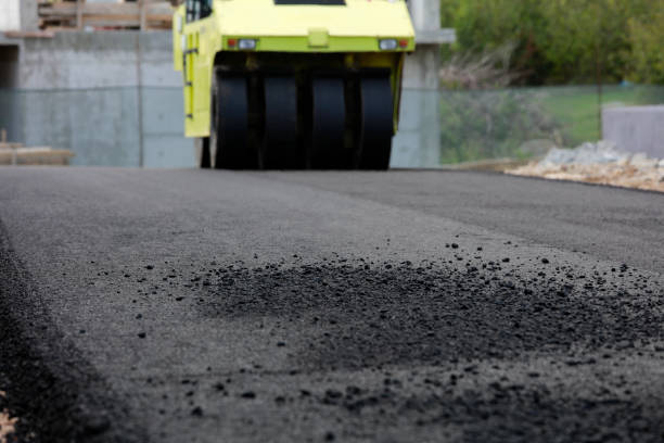Best Driveway Pavers Near Me  in Bayard, NM