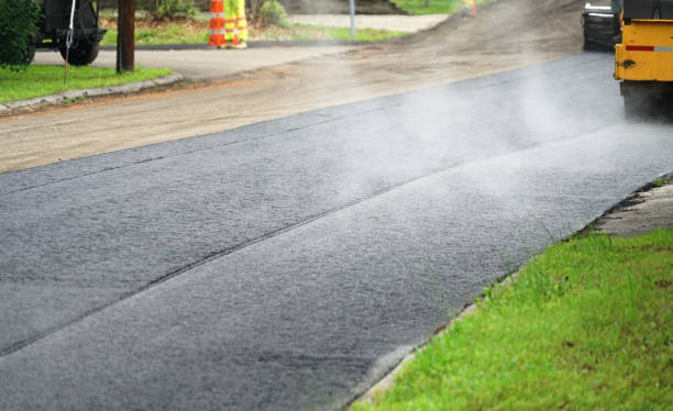 Best Best Driveway Pavers  in Bayard, NM