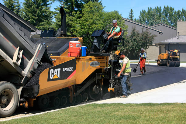 Best Local Driveway Pavers  in Bayard, NM